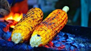JAGUNG BAGUS UNTUK ANTIPENUAAN 1 JAGUNG BAGUS UNTUK ANTIPENUAAN