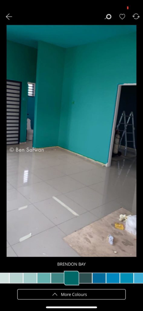 CARA MUDAH PILIH WARNA CAT IDAMAN 6