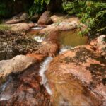 tempat menarik di bukit fraser