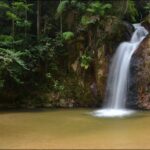 tempat menarik di bukit fraser