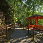 tempat menarik di bukit fraser