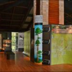 8 Tempat Menarik Di Bukit Fraser 6