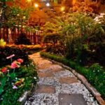 Taman Botani Negara Shah Alam 1