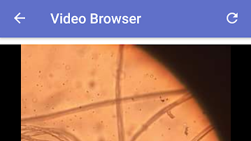 Cara Download Video Dari Facebook 5