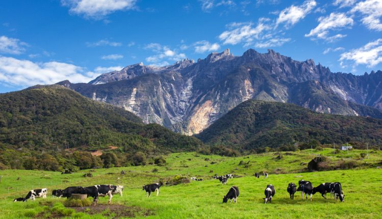 homestay menarik di kundasang