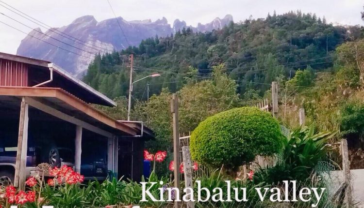homestay menarik di kundasang