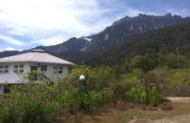 20 Homestay Menarik Di Kundasang 65