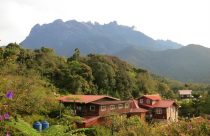 20 Homestay Menarik Di Kundasang 43