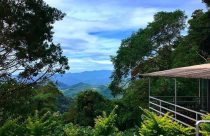 20 Homestay Menarik Di Kundasang 52