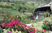 20 Homestay Menarik Di Kundasang 62