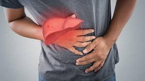 hepatitis b