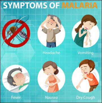 malaria