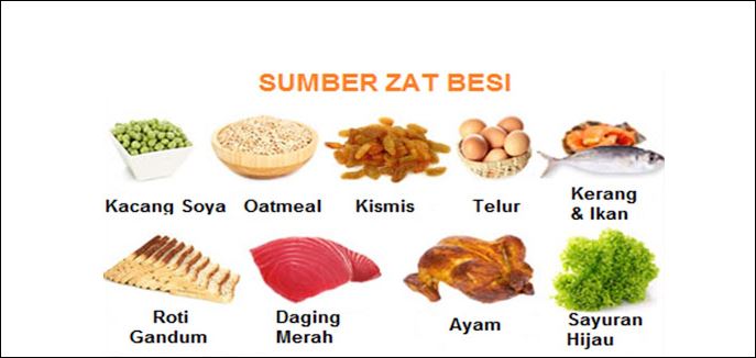 Penyakit Anemia-Gejala, Penyebab Dan Rawatan - TCER.MY
