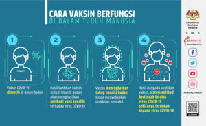 VAKSIN PERCUMA
