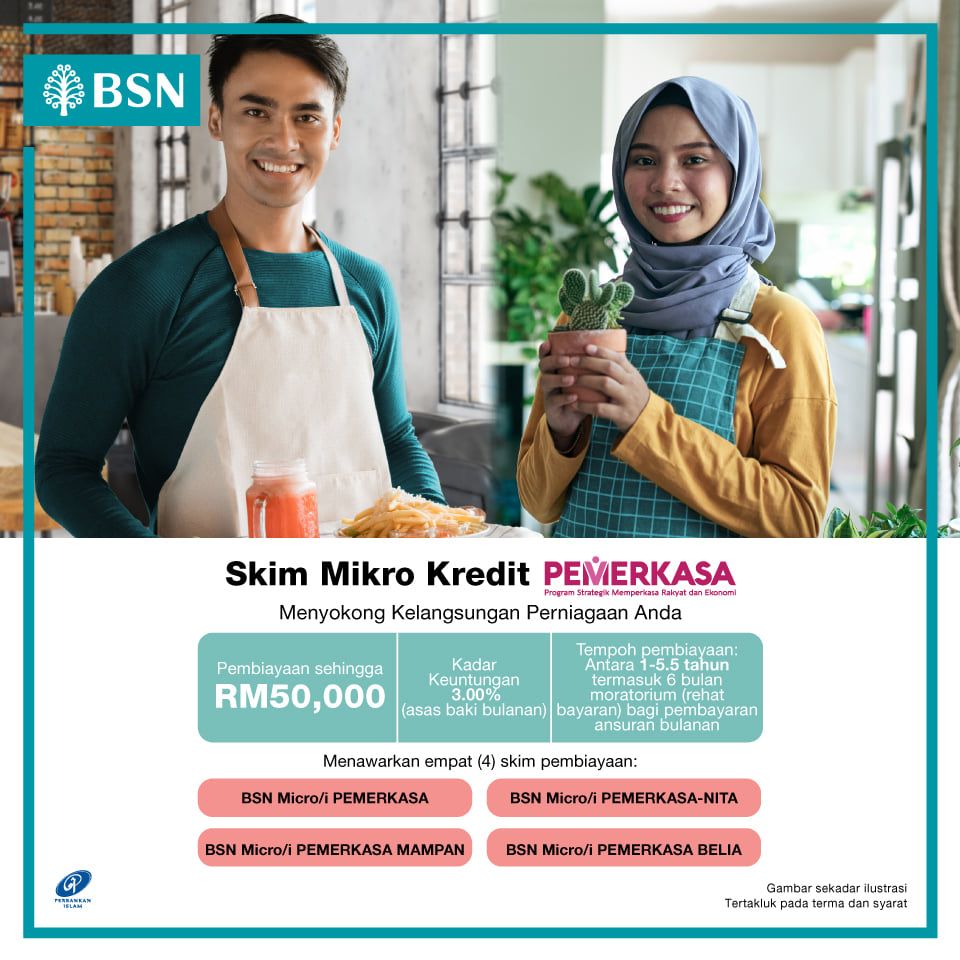 Permohonan BSN Micro Pemerkasa 2 permohonan