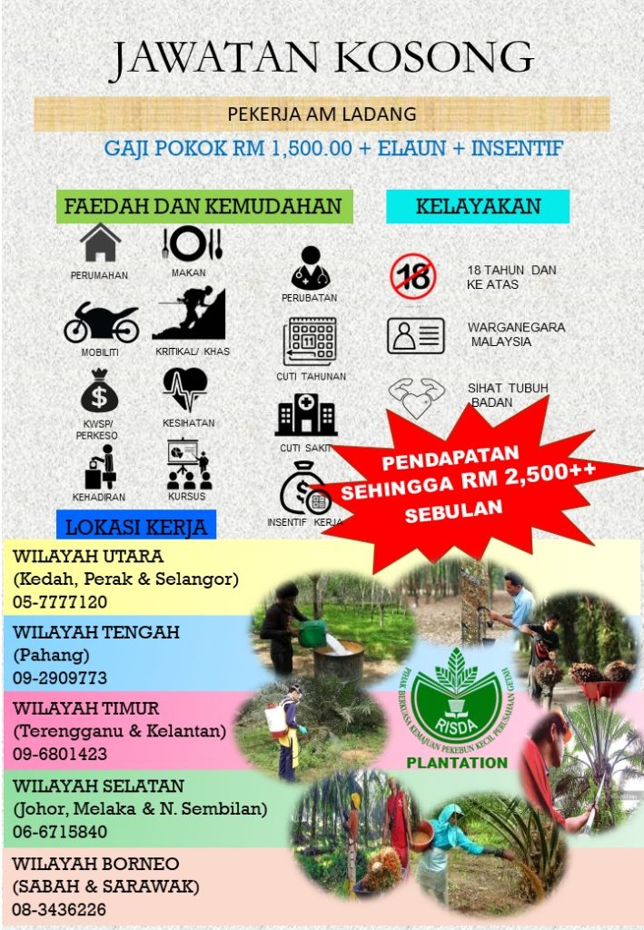 kerja kosong di risda plantation