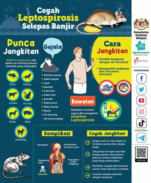 banjir 2022