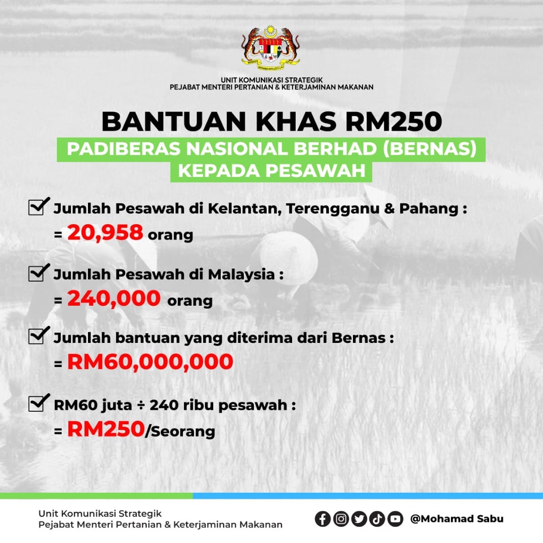Bantuan Khas BERNAS 2023: RM250 Untuk Pesawah 1 bantuan khas bernas