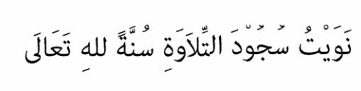 Sujud Sajadah / Tilawah: Bacaan, Hukum & Tatacara 3