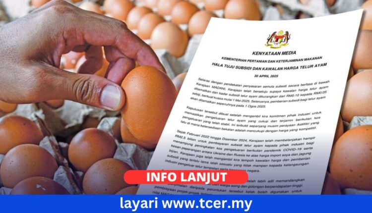 Subsidi Telur