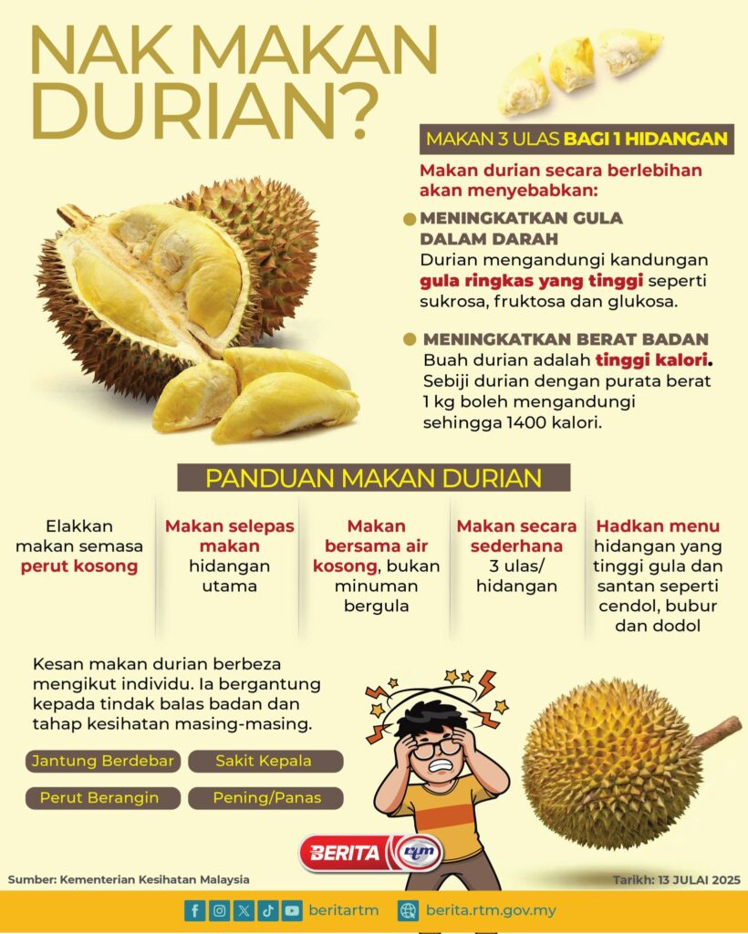 Durian: Ciri Utama, Khasiat, 13 Varieti Yang Popular Di Malaysia 2 Durian: Ciri Utama, Khasiat, 13 Varieti Yang Popular Di Malaysia 2
