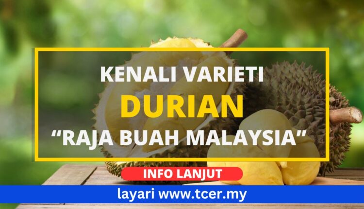 Durian